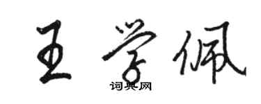 駱恆光王學佩行書個性簽名怎么寫