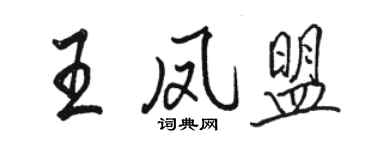 駱恆光王鳳盟行書個性簽名怎么寫