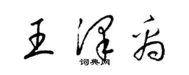 梁錦英王澤禹草書個性簽名怎么寫