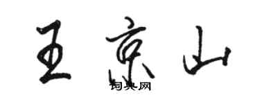 駱恆光王京山行書個性簽名怎么寫