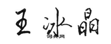 駱恆光王冰晶行書個性簽名怎么寫