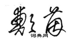 駱恆光鄭茵草書個性簽名怎么寫