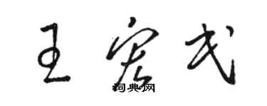 駱恆光王宏民草書個性簽名怎么寫