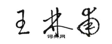 駱恆光王林甫草書個性簽名怎么寫