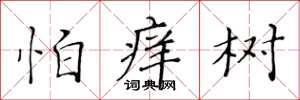 黃華生怕癢樹楷書怎么寫