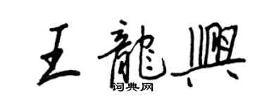 王正良王龍興行書個性簽名怎么寫