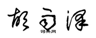 朱錫榮胡雨澤草書個性簽名怎么寫