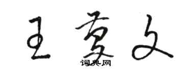 駱恆光王慶文草書個性簽名怎么寫