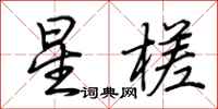 荊霄鵬星槎行書怎么寫