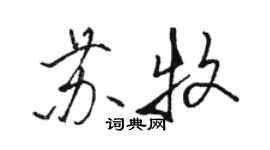 駱恆光蘇牧行書個性簽名怎么寫