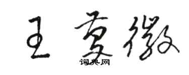 駱恆光王慶徽草書個性簽名怎么寫