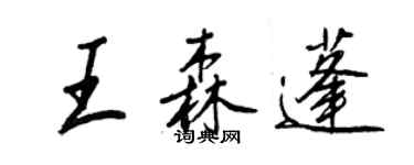王正良王森蓬行書個性簽名怎么寫