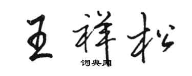 駱恆光王祥松行書個性簽名怎么寫