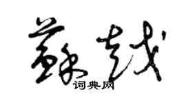 曾慶福蘇越草書個性簽名怎么寫