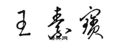 駱恆光王素寶草書個性簽名怎么寫