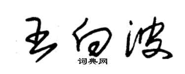 朱錫榮王向波草書個性簽名怎么寫