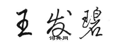 駱恆光王發碧行書個性簽名怎么寫