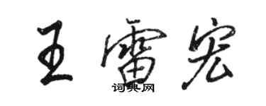駱恆光王雷宏行書個性簽名怎么寫