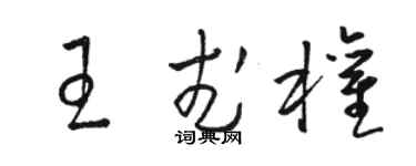 駱恆光王武權草書個性簽名怎么寫