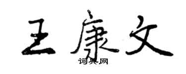 曾慶福王康文行書個性簽名怎么寫