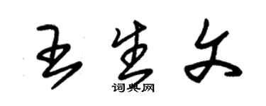 朱錫榮王生文草書個性簽名怎么寫