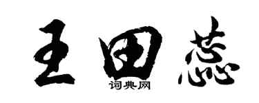 胡問遂王田蕊行書個性簽名怎么寫