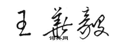 駱恆光王華毅草書個性簽名怎么寫