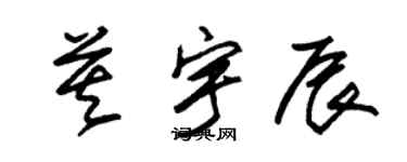 朱錫榮莫宇辰草書個性簽名怎么寫