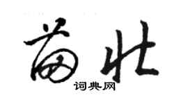 駱恆光苗壯草書個性簽名怎么寫