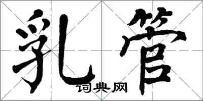 翁闓運乳管楷書怎么寫