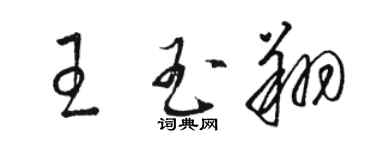 駱恆光王玉翔草書個性簽名怎么寫