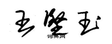朱錫榮王堅玉草書個性簽名怎么寫