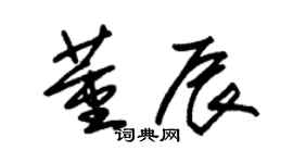 朱錫榮董辰草書個性簽名怎么寫