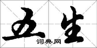 胡問遂五生行書怎么寫