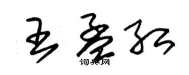 朱錫榮王孟紅草書個性簽名怎么寫