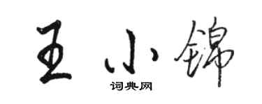 駱恆光王小錦行書個性簽名怎么寫