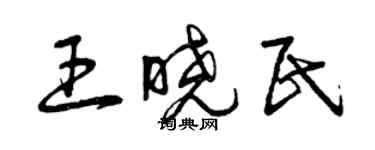 曾慶福王曉民草書個性簽名怎么寫