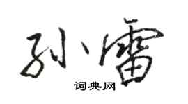 駱恆光孫雷行書個性簽名怎么寫