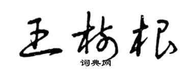 曾慶福王樹根草書個性簽名怎么寫
