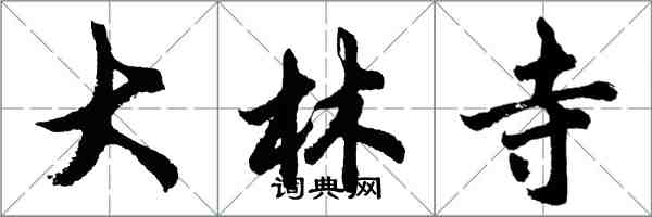 胡問遂大林寺行書怎么寫