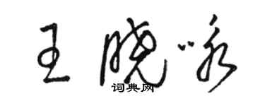 駱恆光王曉詠草書個性簽名怎么寫