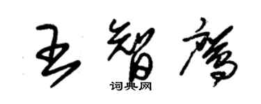 朱錫榮王智鷹草書個性簽名怎么寫