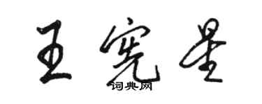 駱恆光王憲星行書個性簽名怎么寫