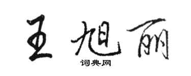 駱恆光王旭麗行書個性簽名怎么寫