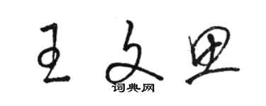 駱恆光王文思草書個性簽名怎么寫