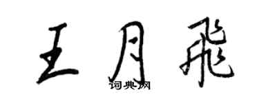 王正良王月飛行書個性簽名怎么寫