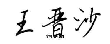 王正良王晉沙行書個性簽名怎么寫