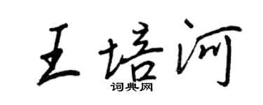 王正良王培河行書個性簽名怎么寫