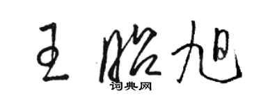 駱恆光王昭旭草書個性簽名怎么寫