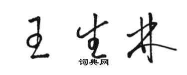 駱恆光王生林草書個性簽名怎么寫